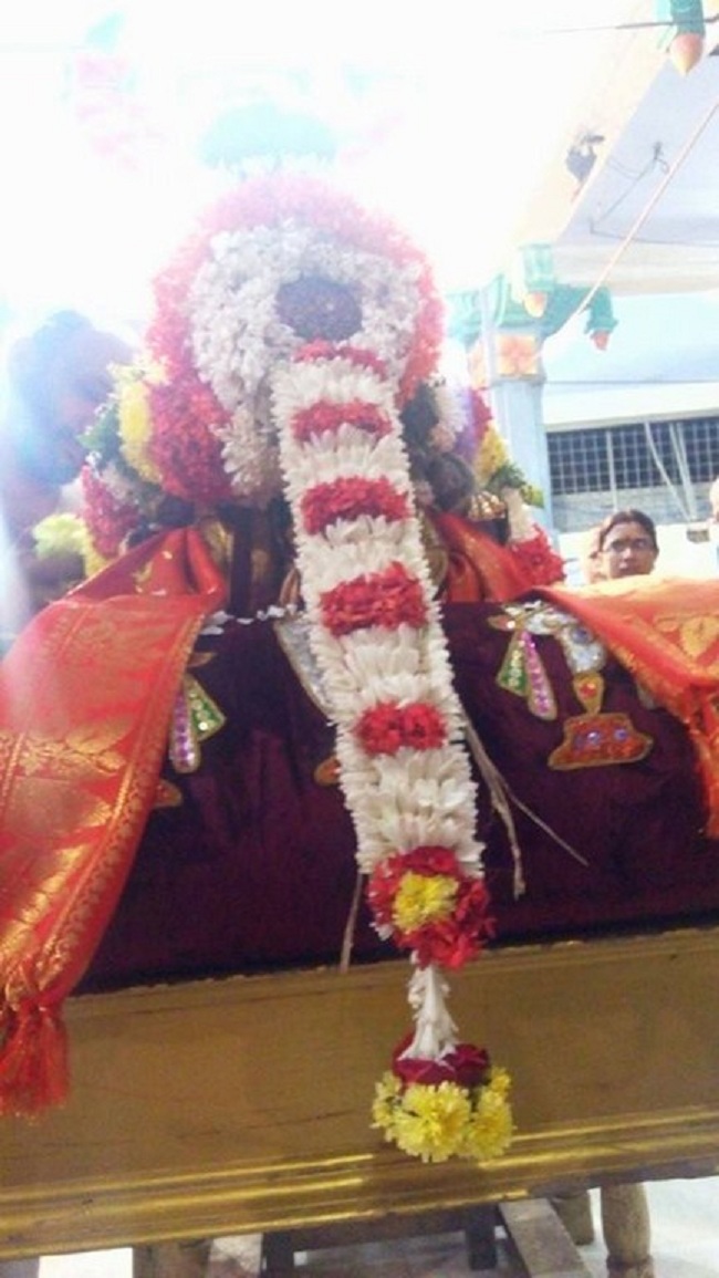 Keelkattalai Sri Srinivasa Perumal Temple Panchami Theertha Utsavam6