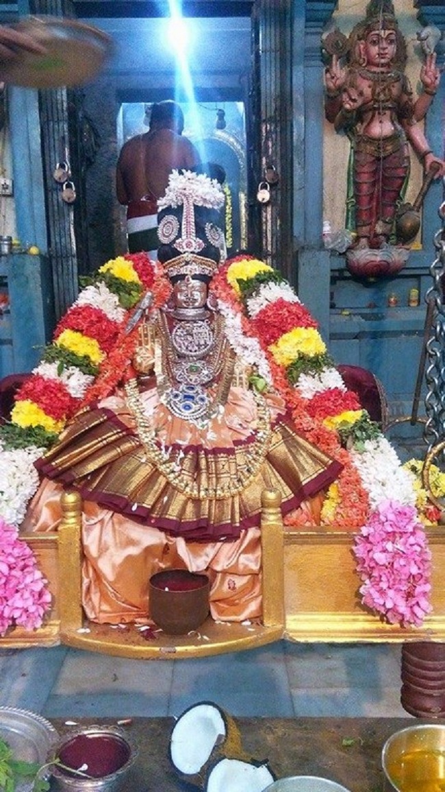 Keelkattalai Sri Srinivasa Perumal Temple Panchami Theertha Utsavam7