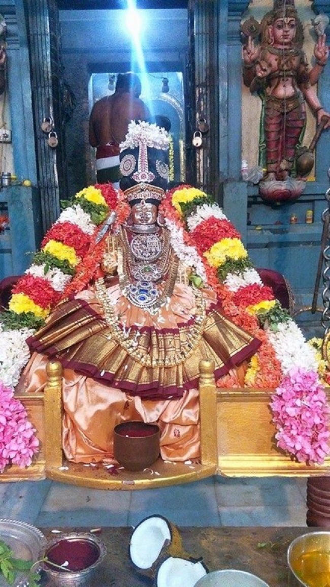 Keelkattalai Sri Srinivasa Perumal Temple Panchami Theertha Utsavam9