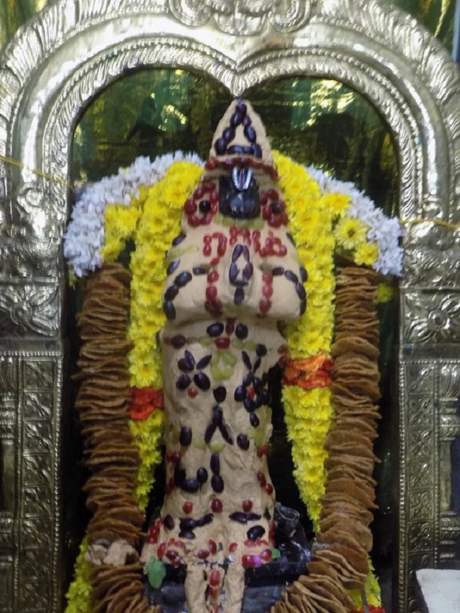 Madipakkam Sri Oppilliappan Pattabhisheka Ramar Temple Sri Hanumath Jayanthi Utsavam2