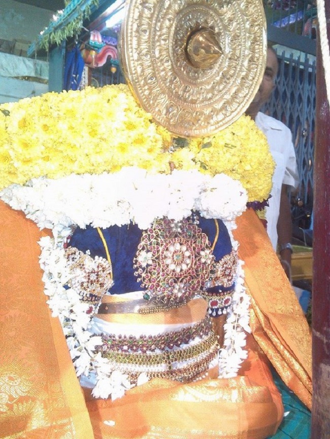 Mylapore Luz Anjaneyar Kovil Sri Hanumath Jayanthi Utsavam3