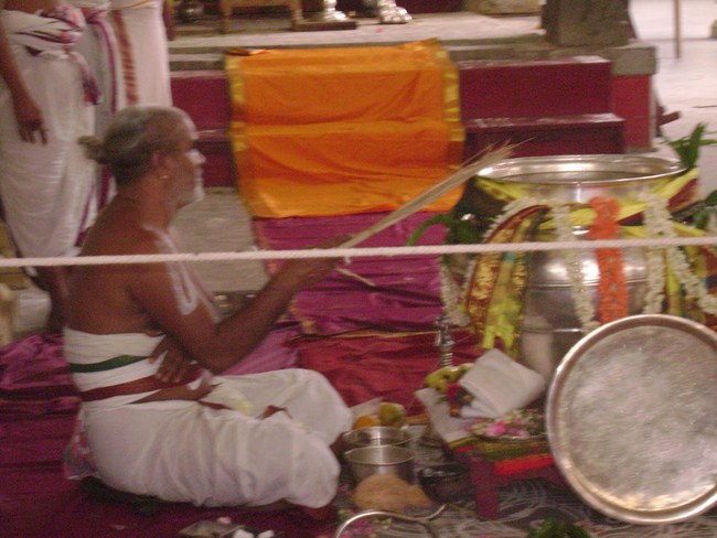 Mylapore SVDD Sri Alarmelmangai Thayar Panchami Theertha Utsavam Concludes15