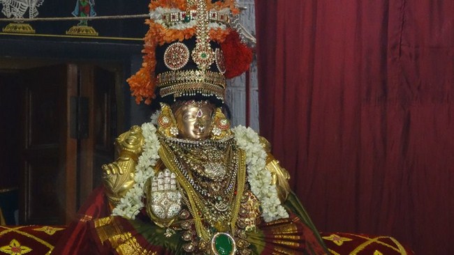 Mylapore SVDD Sri Alarmelmangai Thayar Panchami Theertha Utsavam Concludes22
