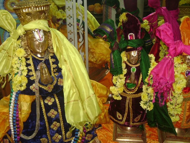 Mylapore SVDD Srinivasa Perumal Temple Pagal Pathu Utsavam11