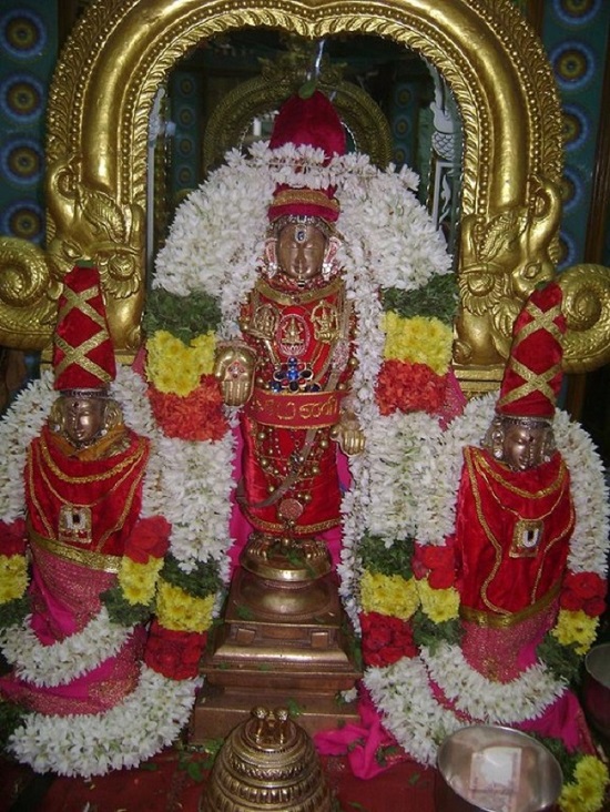 Mylapore SVDD Srinivasa Perumal Temple Pagal Pathu Utsavam13