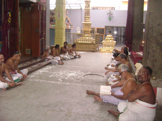 Mylapore SVDD Srinivasa Perumal Temple Pagal Pathu Utsavam1