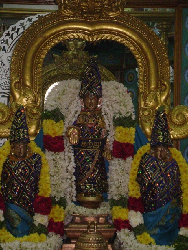 Mylapore SVDD Srinivasa Perumal Temple Pagal Pathu Utsavam3
