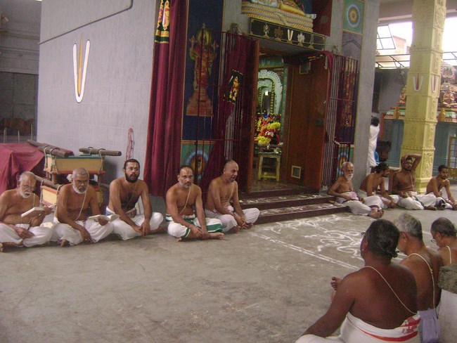 Mylapore SVDD Srinivasa Perumal Temple Pagal Pathu Utsavam4