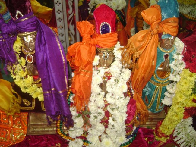 Mylapore SVDD Srinivasa Perumal Temple Pagal Pathu Utsavam5