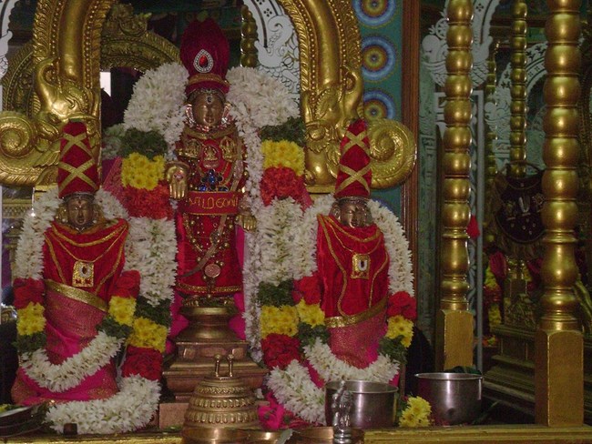 Mylapore SVDD Srinivasa Perumal Temple Pagal Pathu Utsavam8