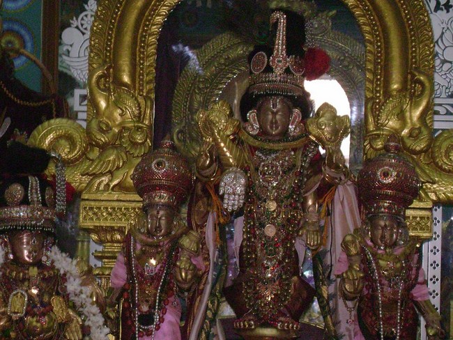 Mylapore SVDD Srinivasa Perumal Temple Thirumangai Azhwar Thirunakshatra Utsavam10