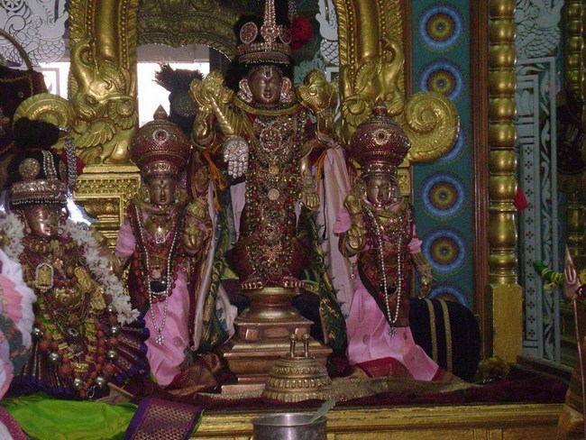 Mylapore SVDD Srinivasa Perumal Temple Thirumangai Azhwar Thirunakshatra Utsavam11