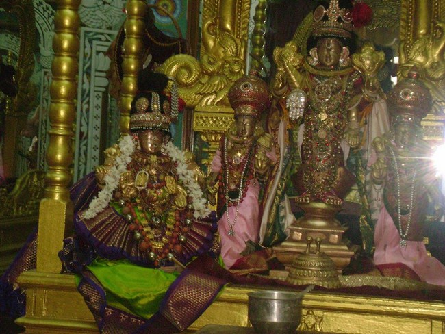 Mylapore SVDD Srinivasa Perumal Temple Thirumangai Azhwar Thirunakshatra Utsavam2