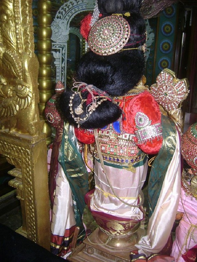 Mylapore SVDD Srinivasa Perumal Temple Thirumangai Azhwar Thirunakshatra Utsavam8