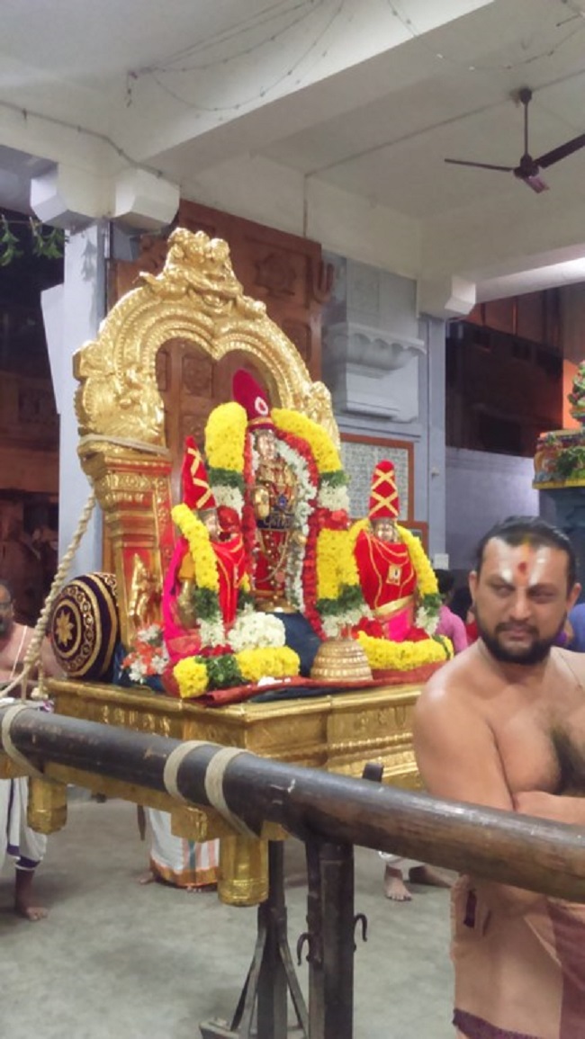 Mylapore SVDD Srinivasa Perumal Temple Thondaradipodi Azhwar Thirunakshatra Utsavam8
