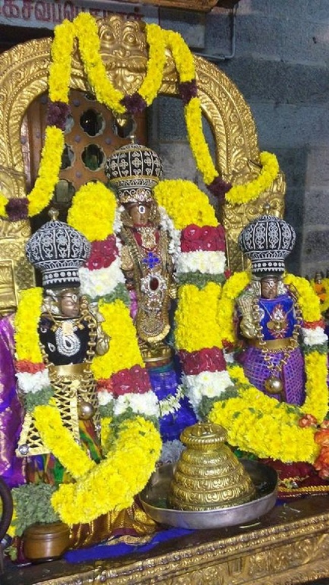 Mylapore Sri Adhikesava Perumal Temple Thiruadhyayana Utsavam1