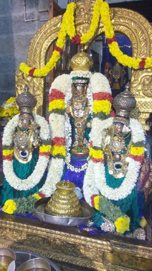 Mylapore Sri Adhikesava Perumal Temple Thiruadhyayana Utsavam10
