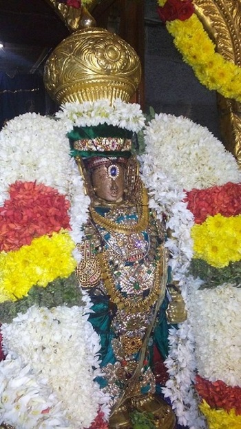 Mylapore Sri Adhikesava Perumal Temple Thiruadhyayana Utsavam13