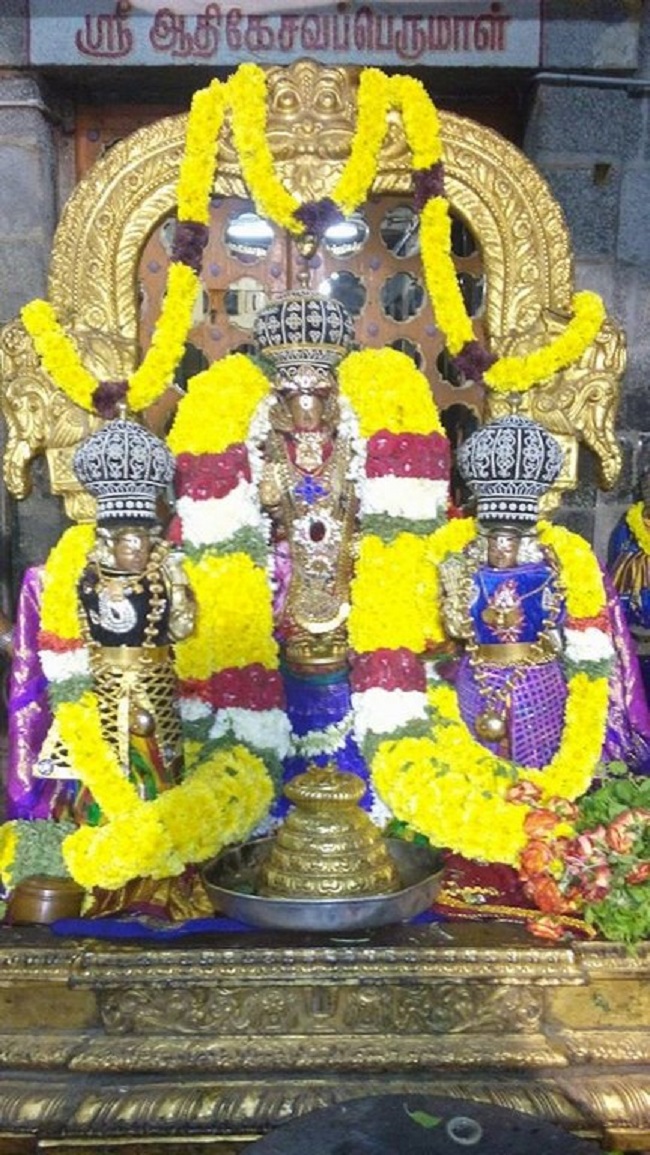 Mylapore Sri Adhikesava Perumal Temple Thiruadhyayana Utsavam2