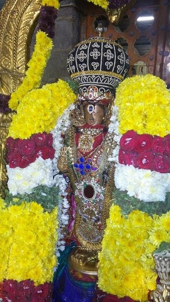 Mylapore Sri Adhikesava Perumal Temple Thiruadhyayana Utsavam3