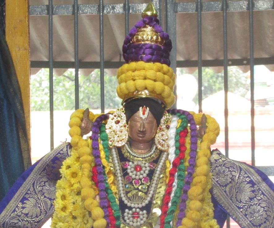 Nagai Soundararaja Perumal Temple Jaya Varusha Pavithrotsavam