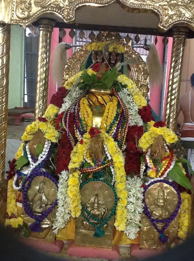 Nagai Soundararja Perumal Temple Pavithrotsavam Day 3 -2014-03