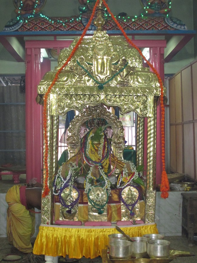 Nagai Sri Soundararaja Perumal Temple Jaya Pavithrotsavam day 1-201403