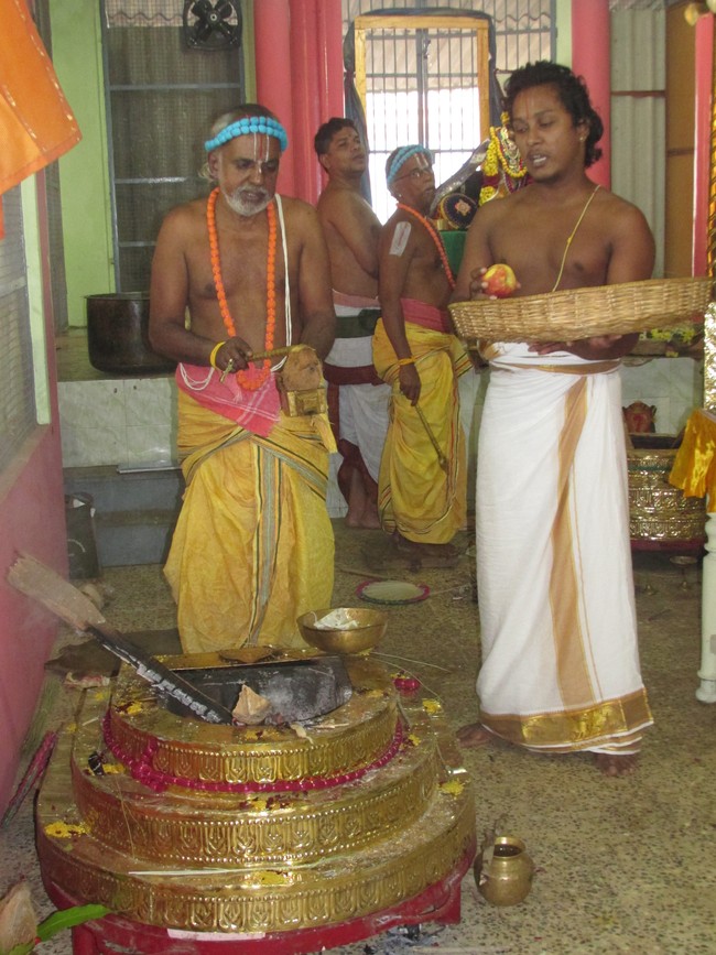 Nagai Sri Soundararaja Perumal Temple Jaya Pavithrotsavam day 1-201408