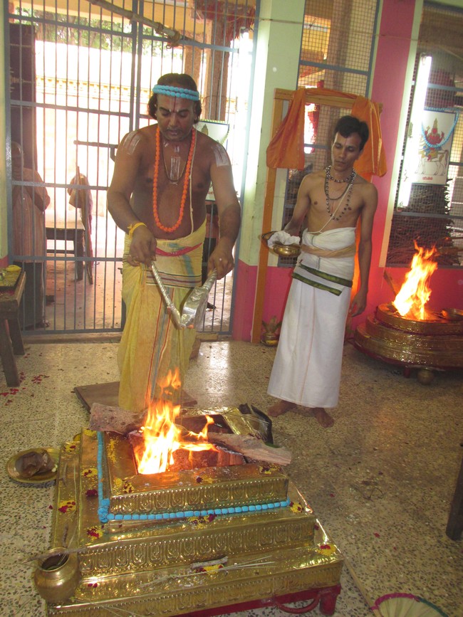 Nagai Sri Soundararaja Perumal Temple Jaya Pavithrotsavam day 1-201413