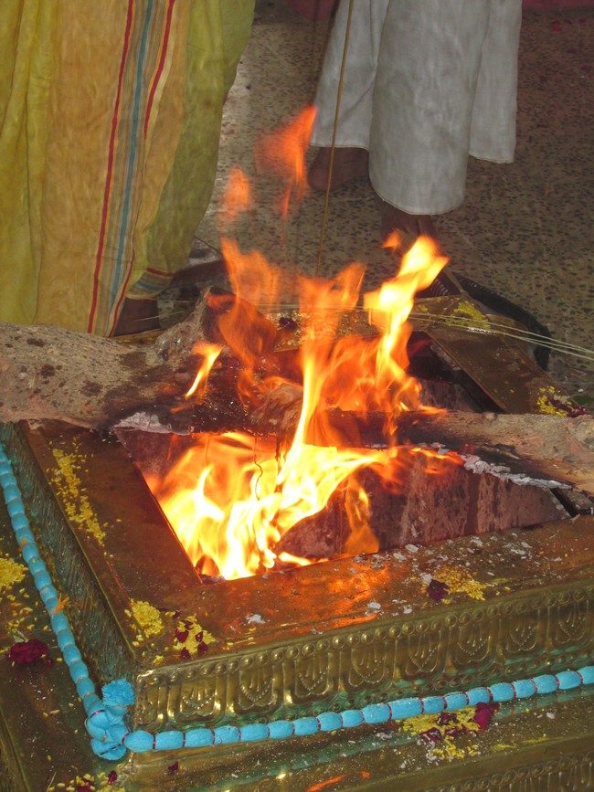 Nagai Sri Soundararaja Perumal Temple Jaya Pavithrotsavam day 1-201414