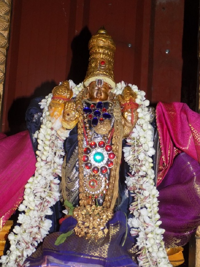 Nanganallur Sri Lakshmi Hayavadhana Perumal Temple Thirumangai Azhwar Thirunakshatra Utsavam13