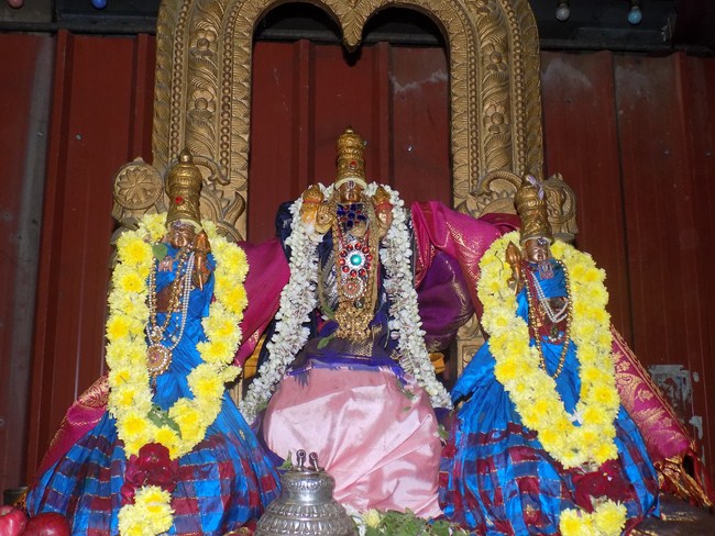 Nanganallur Sri Lakshmi Hayavadhana Perumal Temple Thirumangai Azhwar Thirunakshatra Utsavam15