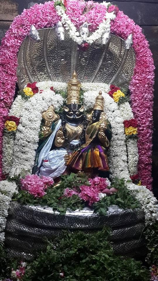 Poovarasankuppam Sri Lakshmi  Narasimha Perumal  Temple Maragazhi Swathi Utsavam -2014-02