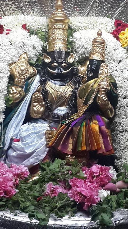 Poovarasankuppam Sri Lakshmi  Narasimha Perumal  Temple Maragazhi Swathi Utsavam -2014-04
