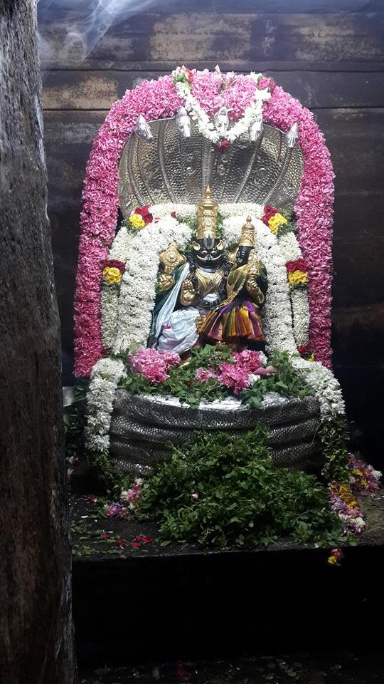 Poovarasankuppam Sri Lakshmi  Narasimha Perumal  Temple Maragazhi Swathi Utsavam -2014-05