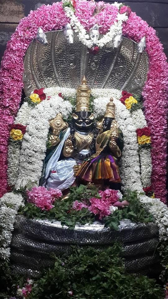 Poovarasankuppam Sri Lakshmi  Narasimha Perumal  Temple Maragazhi Swathi Utsavam -2014-06