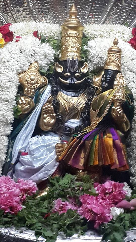 Poovarasankuppam Sri Lakshmi  Narasimha Perumal  Temple Maragazhi Swathi Utsavam -2014-10