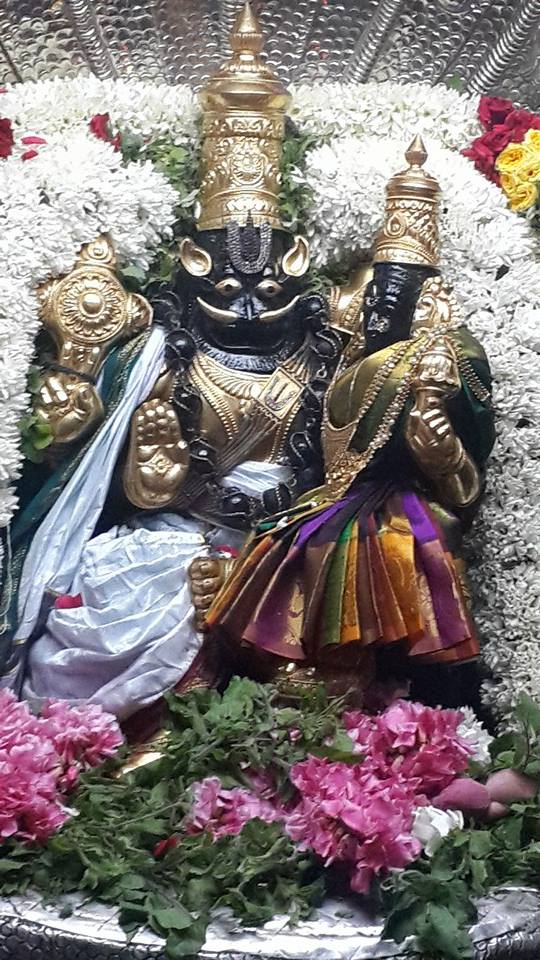 Poovarasankuppam Sri Lakshmi  Narasimha Perumal  Temple Maragazhi Swathi Utsavam -2014-16
