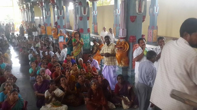 Poovarasankuppam Sri Lakshmi  Narasimha Perumal  Temple Maragazhi Swathi Utsavam -2014-18