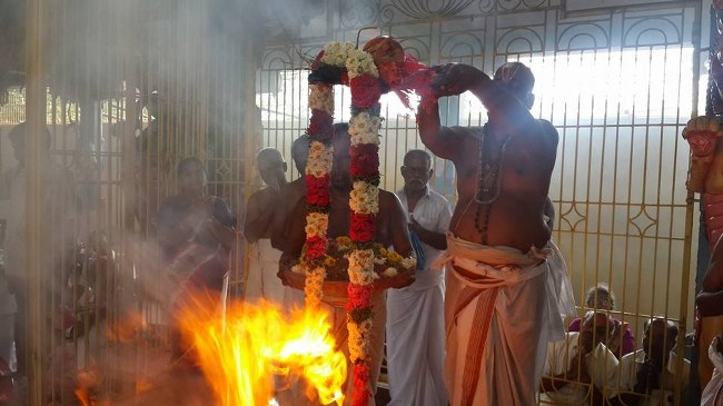 Poovarasankuppam Sri Lakshmi  Narasimha Perumal  Temple Maragazhi Swathi Utsavam -2014-20