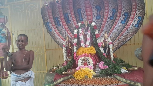 Poovarasankuppam Sri Lakshmi  Narasimha Perumal  Temple Maragazhi Swathi Utsavam -2014-23