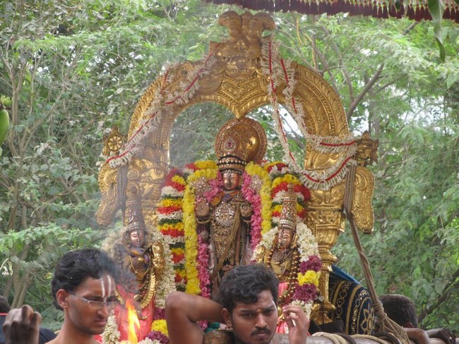 Sriperumbudur Swami Ramanujar Aippasi Thiruvadirai Vanabhojana Utsavam14