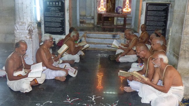 Srirangam Dasavathara Sannadhi THirumangai  azhwar THirunakshatram Utsavam -2014-01