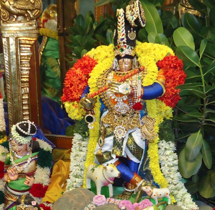 Srirangam Kannadi arai Sri Andal sannadhi day  4