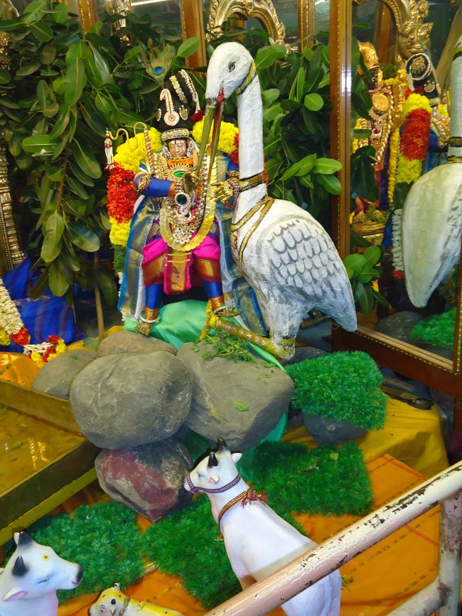 Srirangam Ranganathaswami Temple Kannadi Arai ANdal Sannadh day 13-2014-5