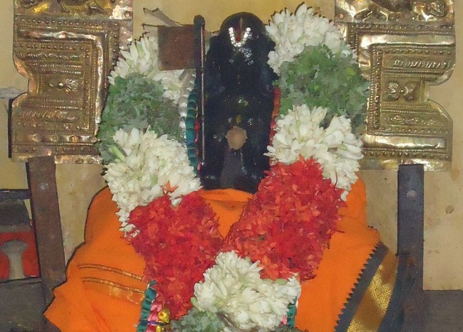 Srivan Adhivan Satakopa Jeeyar Maragazhi THirunakshatram at dasavathara Sannadhi-2014-3