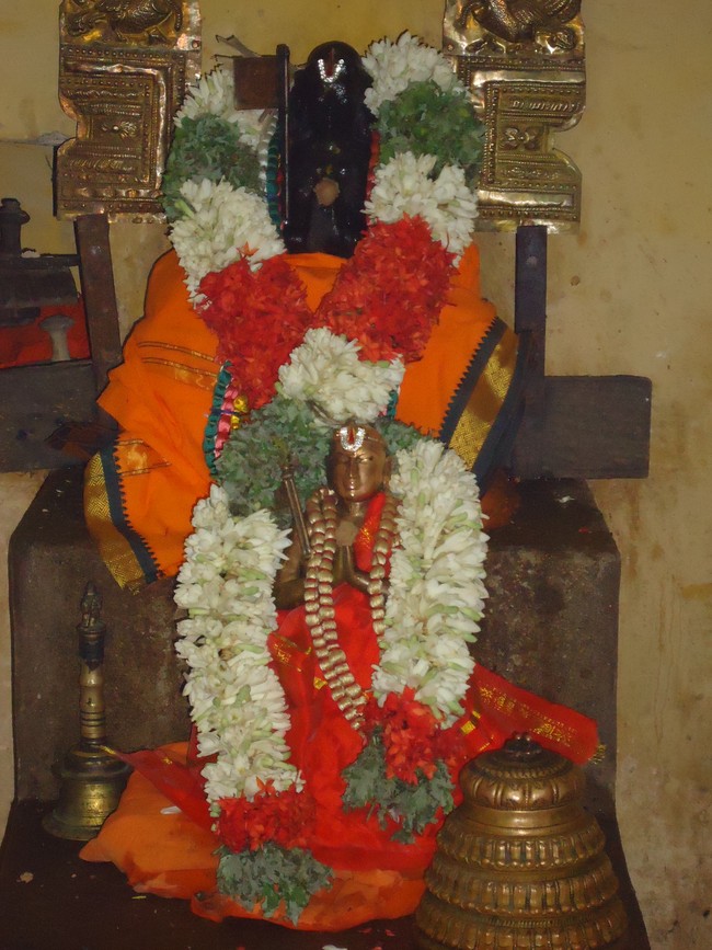 Srivan Adhivan Satakopa Jeeyar Maragazhi THirunakshatram at dasavathara Sannadhi-2014-6