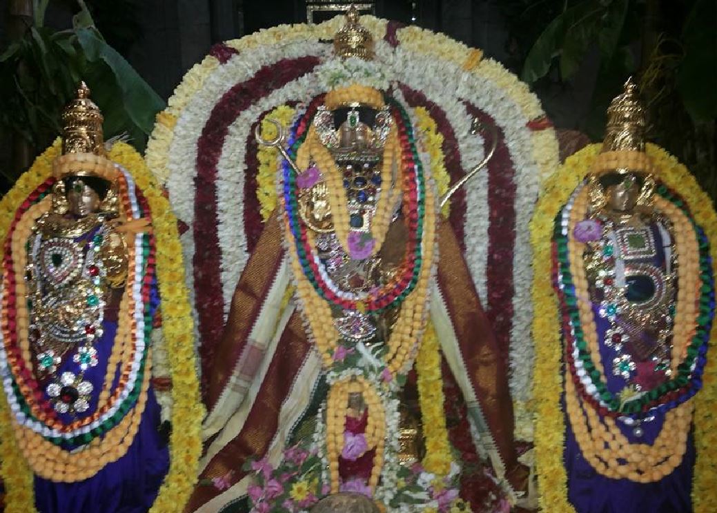 Sundapalayam Srinivasa Varadharaja Perumal Pavithrotsavam 2014