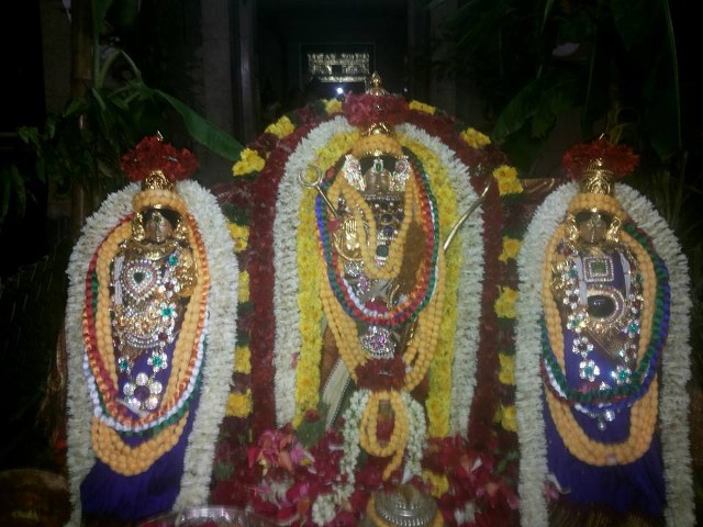 Sundapalayam Srinivasa Varadharaja Perumal temple  Pavithrotsavam Concludes  -2014-02