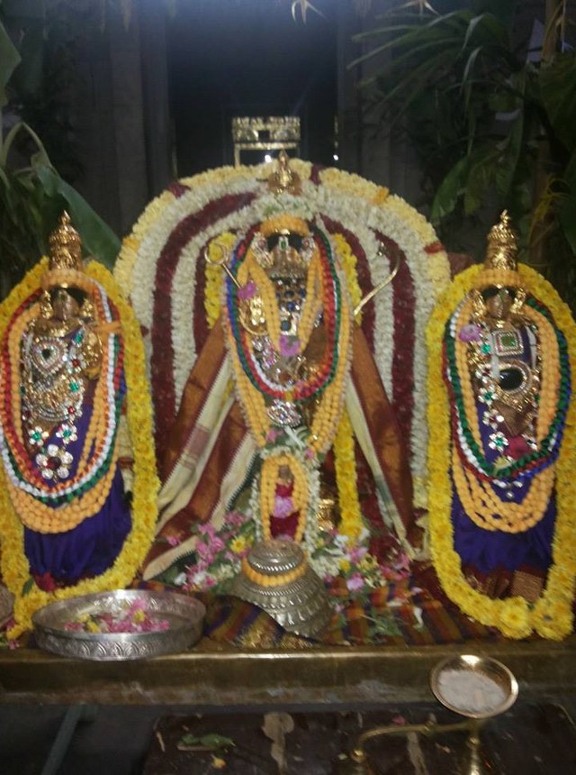 Sundapalayam Srinivasa Varadharaja Perumal temple  Pavithrotsavam Concludes  -2014-03